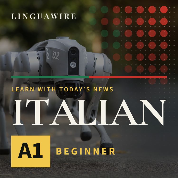 cover art for A1 Italian News | Why a $4,000 Robot Dog Turns Heads