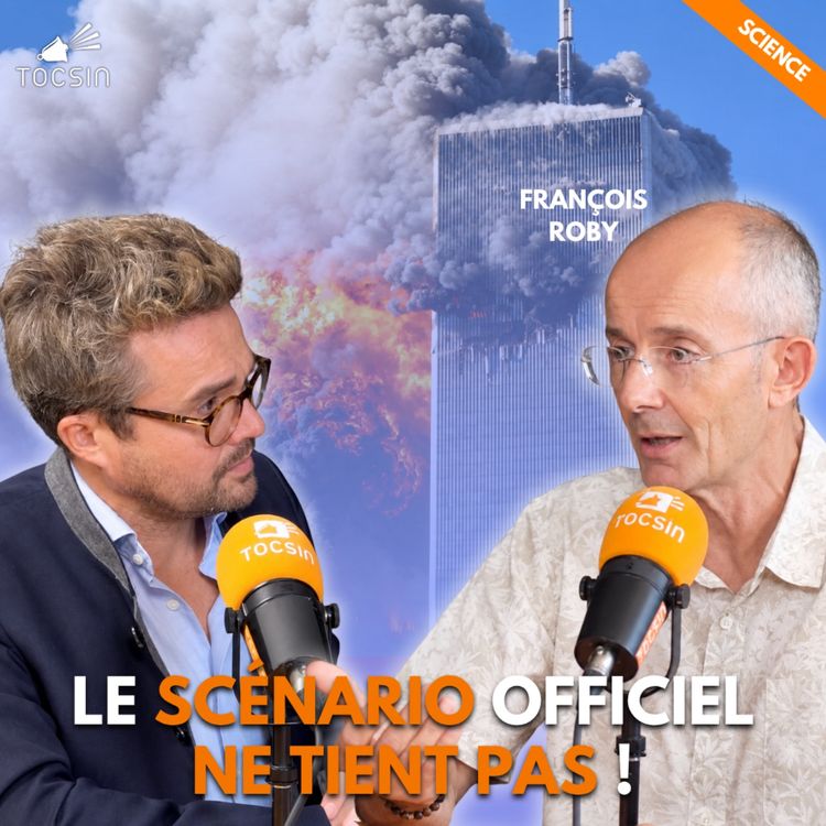 cover art for Vitesse, énergie, chaleur, les indicateurs physiques questionnent la version officielle du 11/09