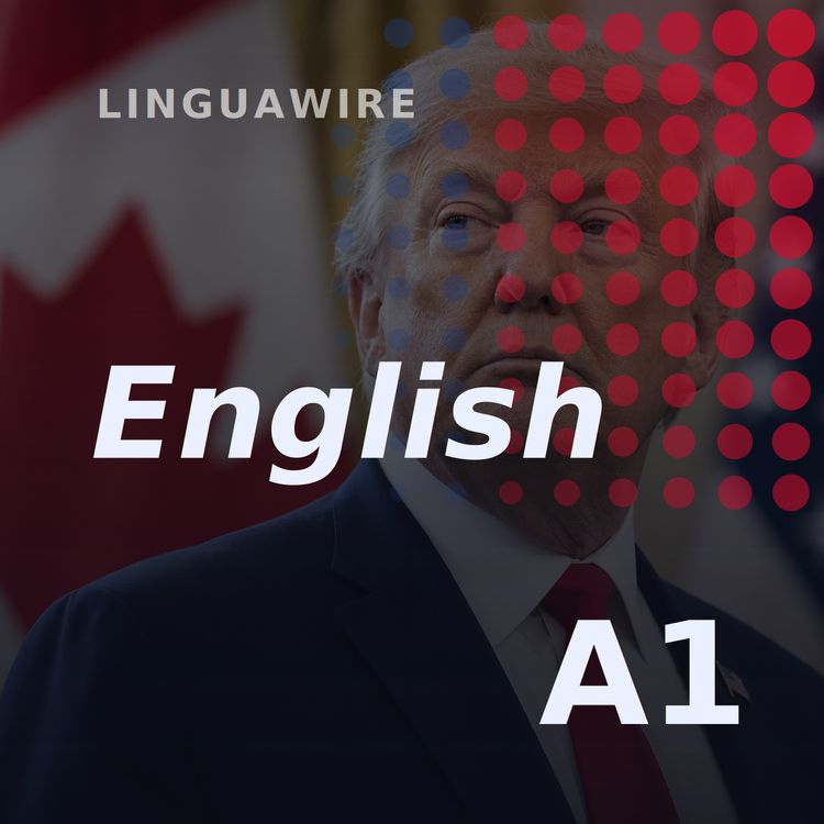 cover art for A1 English News | Canada's Dairy Sector Faces Trump's Tariff Fight