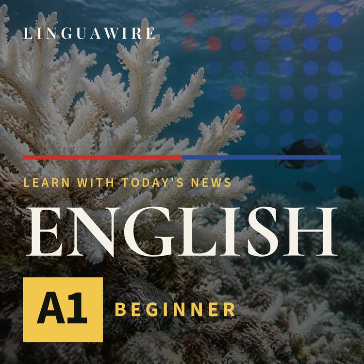 cover art for A1 English News | Coral Reefs Face a Major Threat by 2075