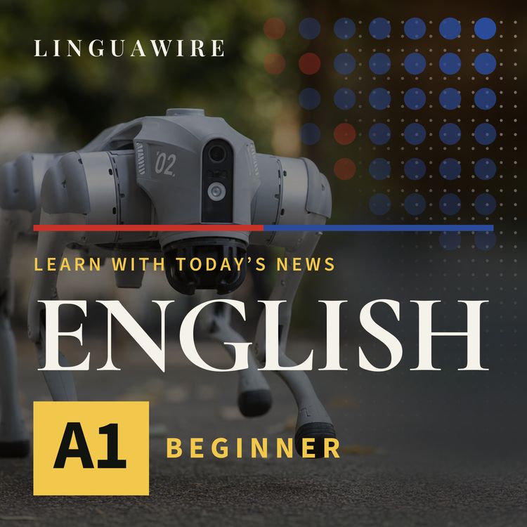 cover art for A1 English News | Why a $4,000 Robot Dog Turns Heads