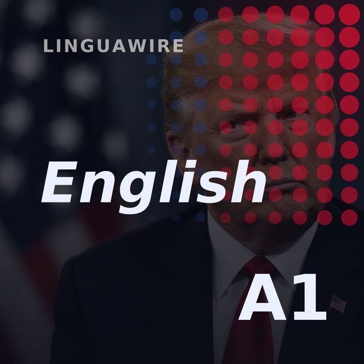 cover art for A1 English News | Trump Hits Canada with 50% Tariffs