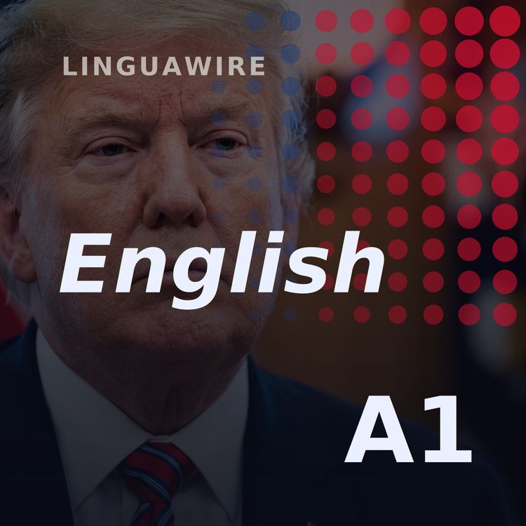 cover art for A1 English News | Trump Faces Birthright Citizenship Setback