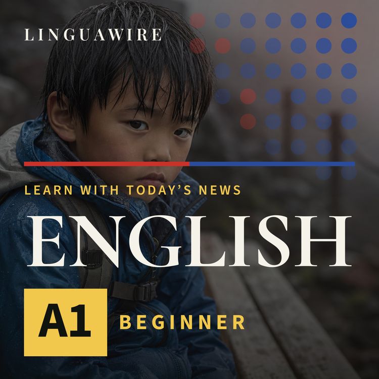 cover art for A1 English News | Why Was a 7-Year-Old Left on Mount Fuji?