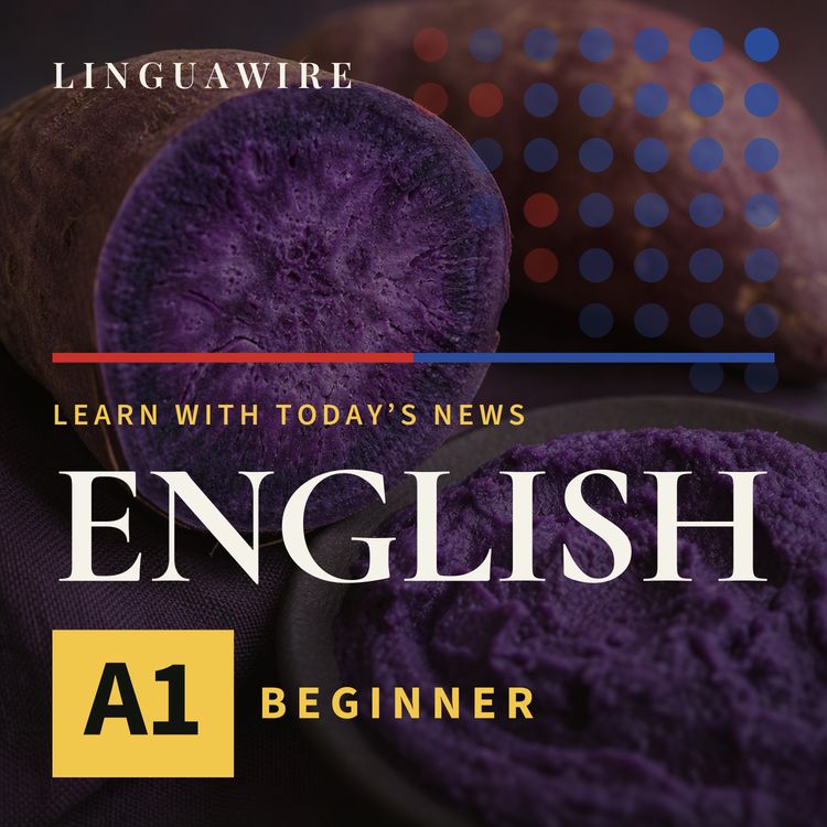 cover art for A1 English News | Why Is Britain's Purple Ube Craze Facing a Halt?