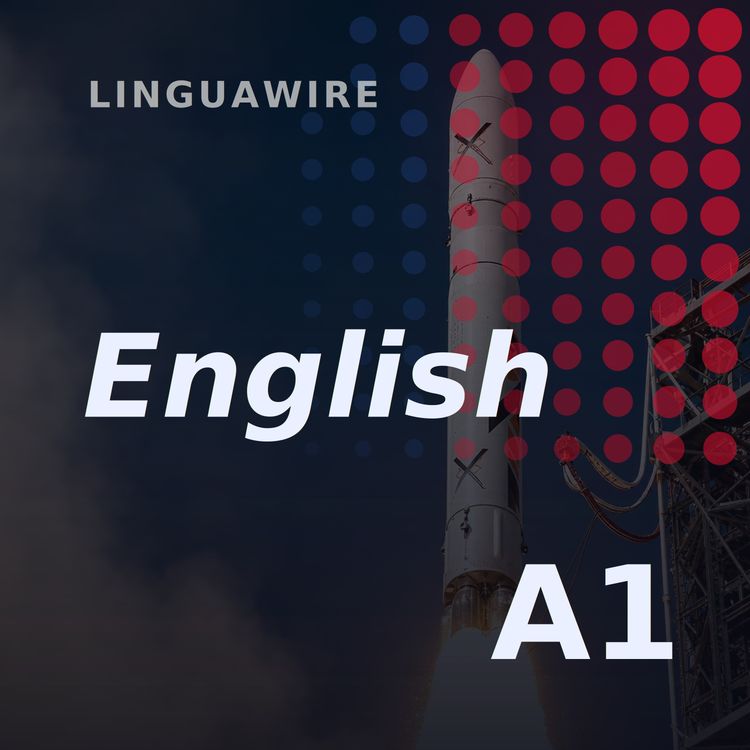 cover art for A1 English News | India's First Private Rocket Reaches Orbit