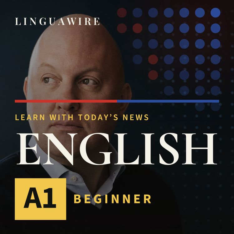 cover art for A1 English News | Can AI School Replace College?