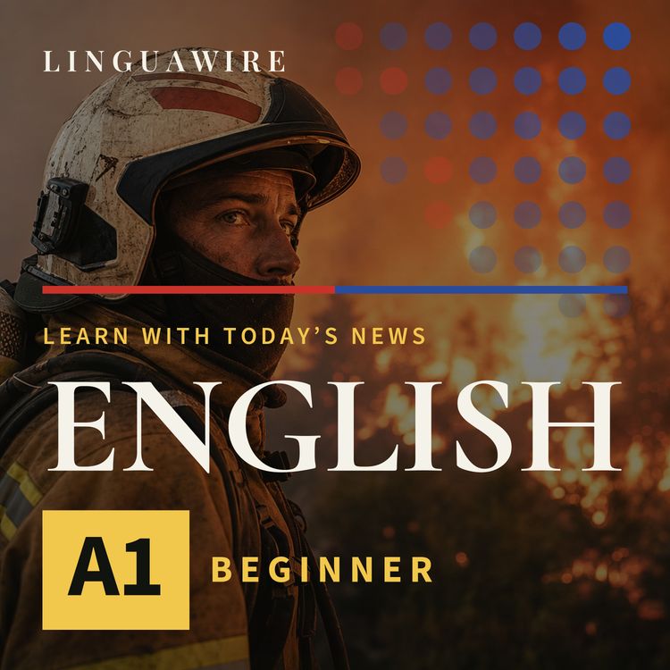 cover art for A1 English News | Can Belgium Stop the 3,000-Hectare Wildfire?