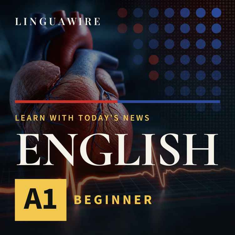 cover art for A1 English News | Heart Disease Gets a Fast New AI Check