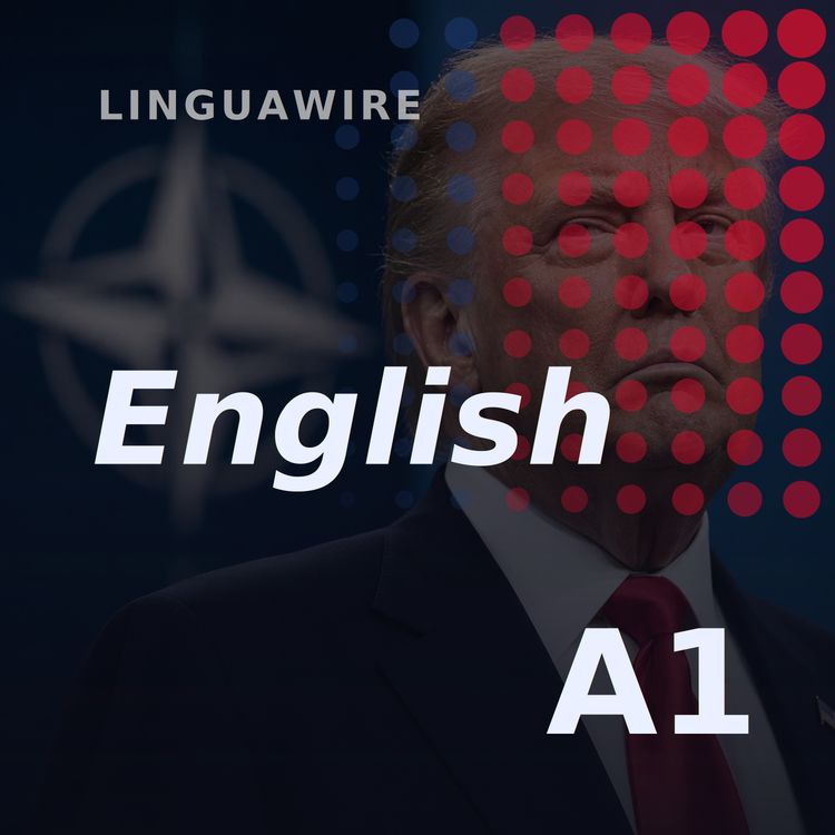 cover art for A1 English News | Can Trump Shake Up Nato Again?