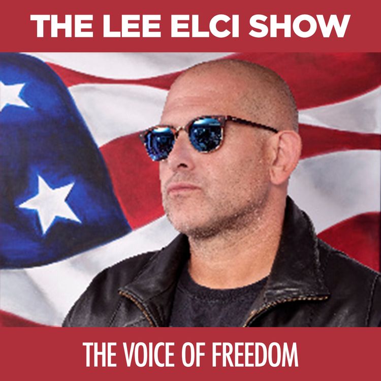 cover art for Voice of Freedom: America First, Honor, Money, and Rage
