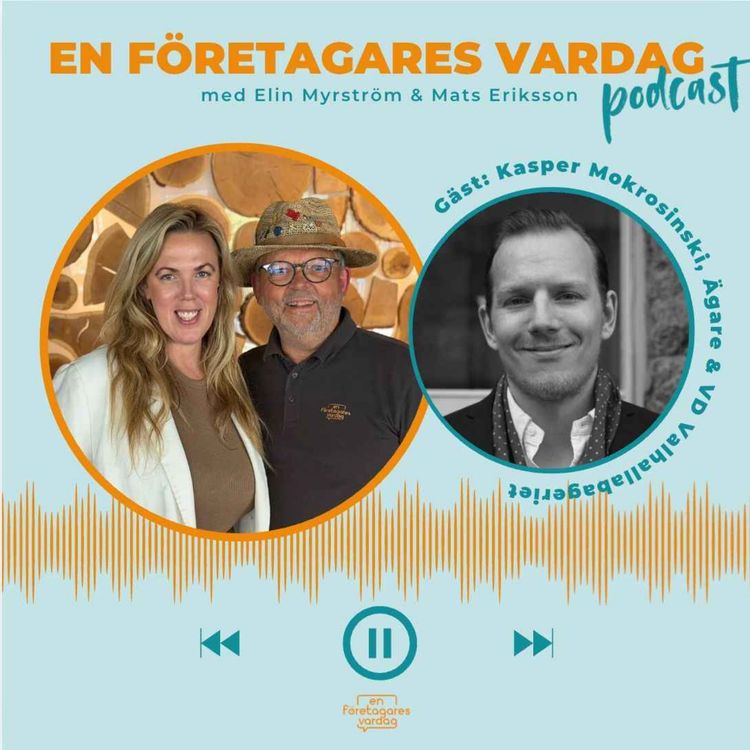 cover art for En Företagares Vardag 