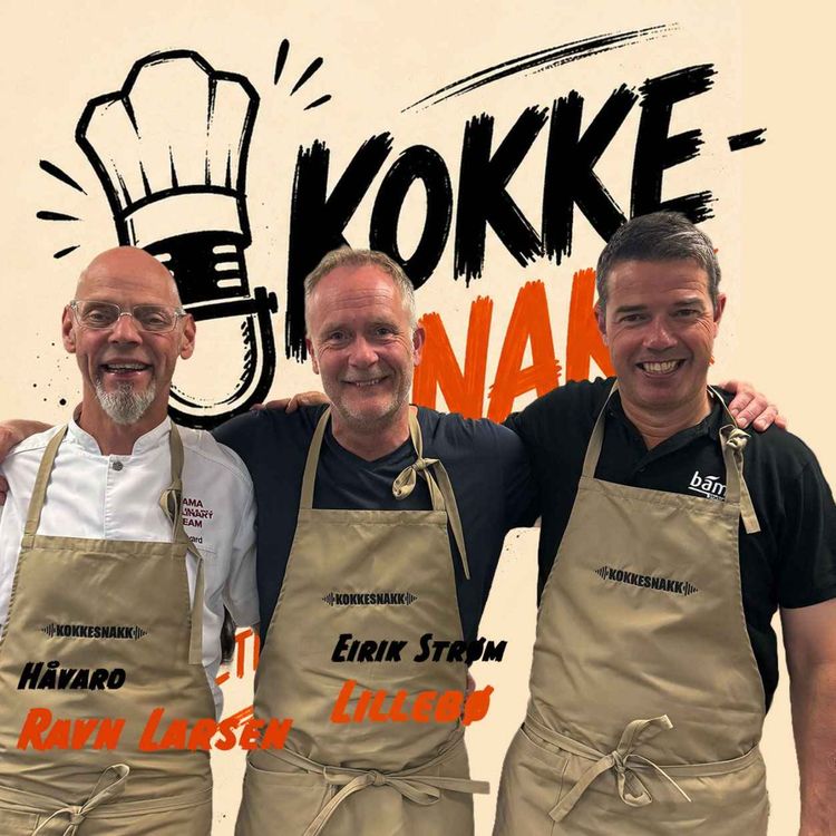 cover art for Sesongpremiere - Kokkesnakk (Ringrev spesial) Eirik Strøm Lillebø & Håvard Ravn Larsen