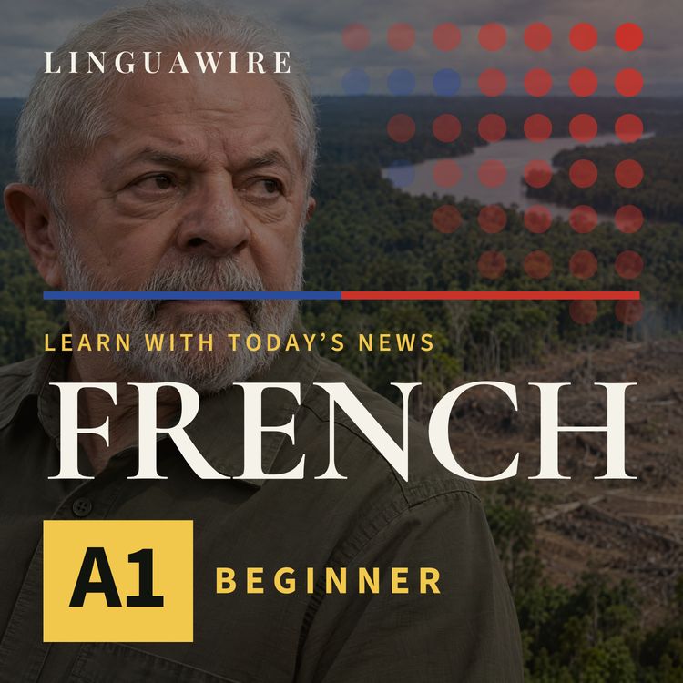 cover art for A1 French News | Brazil's Amazon Hits a Record Low Before a Key Vote