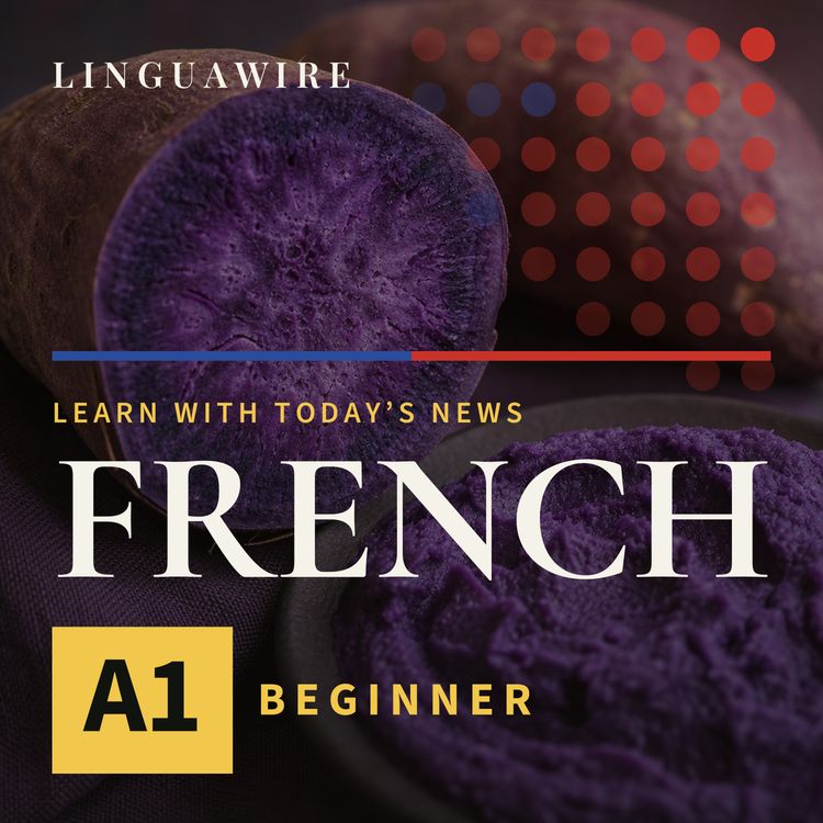 cover art for A1 French News | Why Is Britain's Purple Ube Craze Facing a Halt?