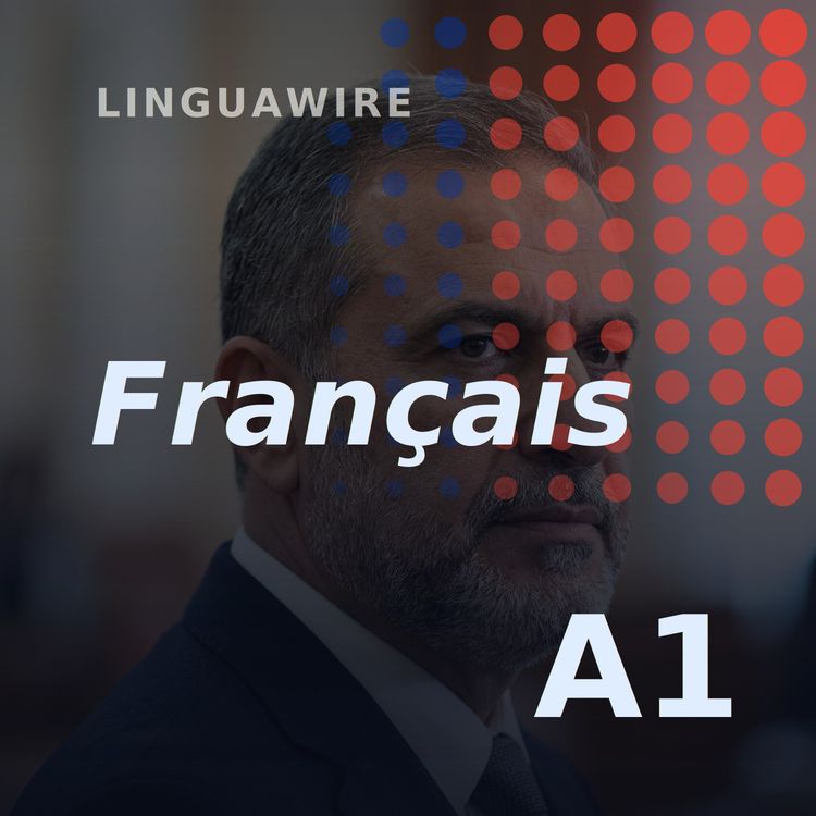 cover art for A1 French News | Syria's Post-Assad Parliament Takes Shape