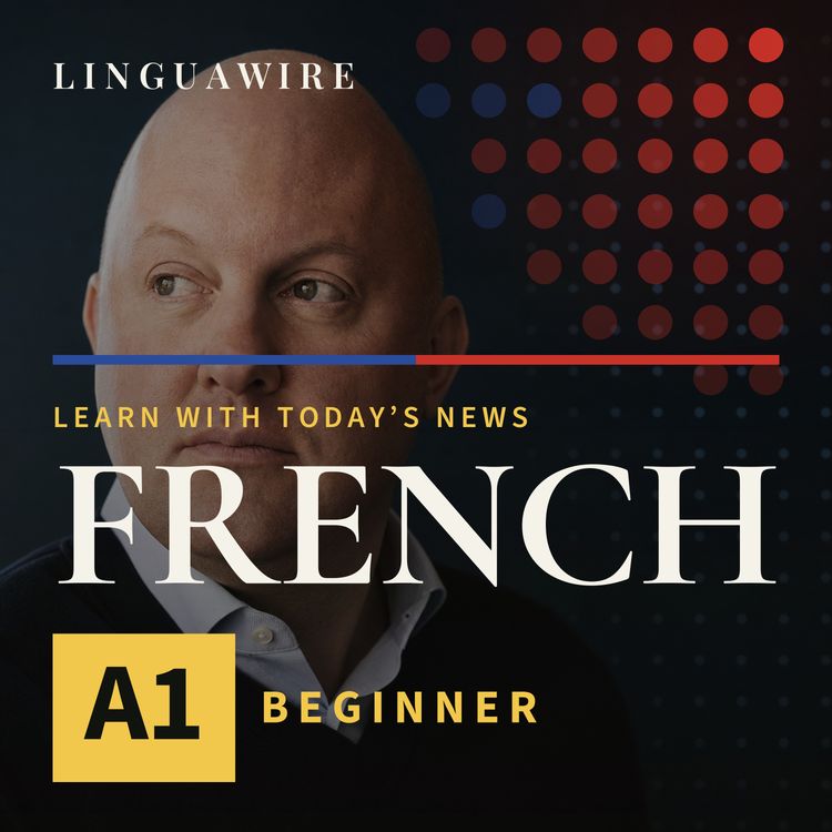 cover art for A1 French News | Can AI School Replace College?