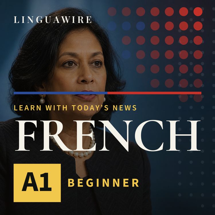 cover art for A1 French News | Can Guyana's Candidate Win the UN Race?