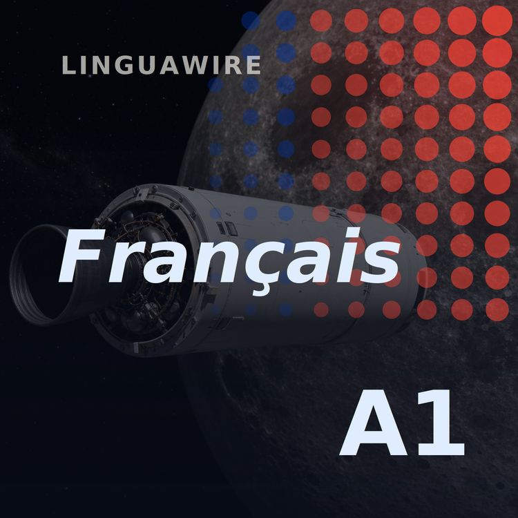 cover art for A1 French News | Will a SpaceX Rocket Hit the Moon?