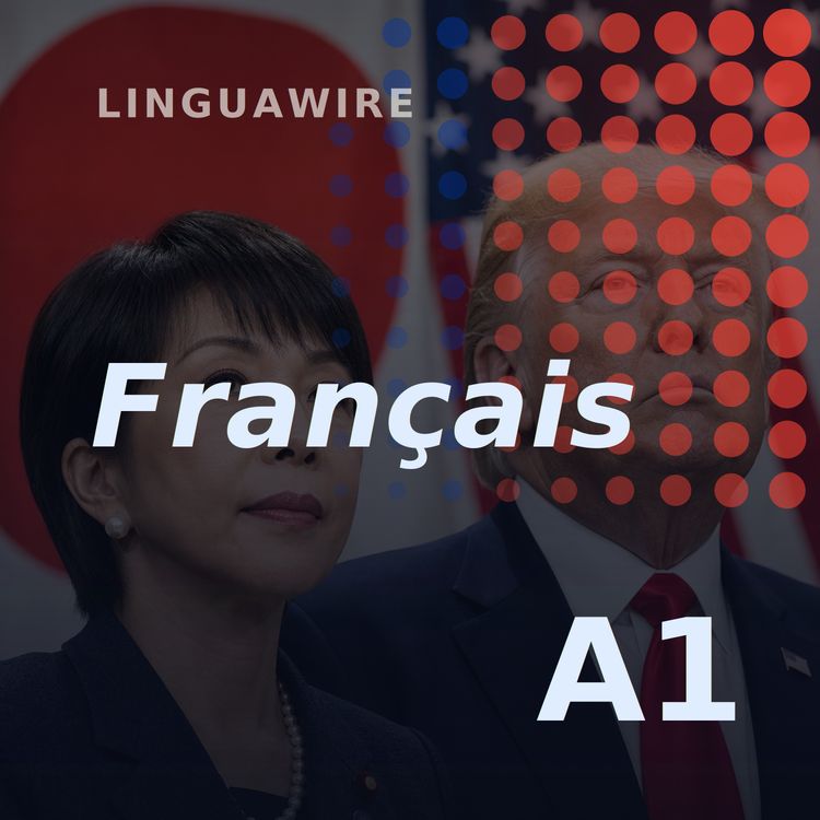 cover art for A1 French News | Can Japan and the US Save the Yen?