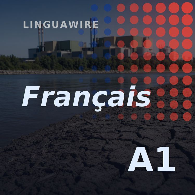 cover art for A1 French News | Can Hungary's Only Nuclear Plant Keep Running?
