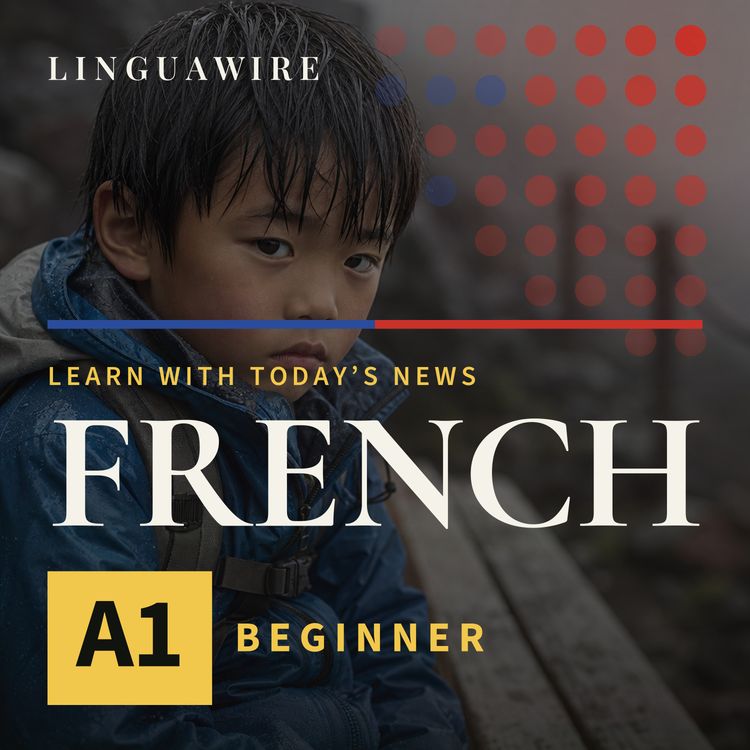 cover art for A1 French News | Why Was a 7-Year-Old Left on Mount Fuji?