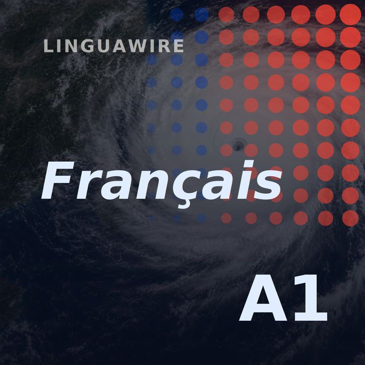 cover art for A1 French News | Typhoon Bavi Forces Millions to Flee