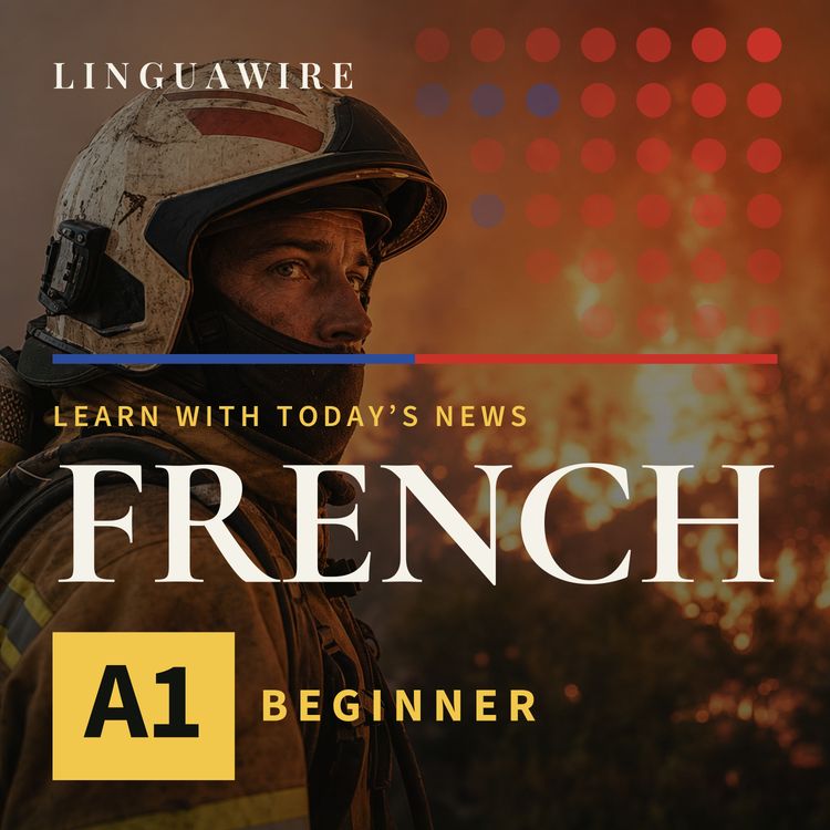 cover art for A1 French News | Can Belgium Stop the 3,000-Hectare Wildfire?