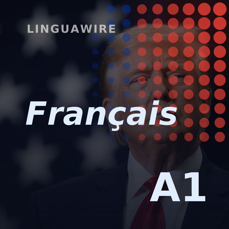cover art for A1 French News | US Tariffs Hit 60 Trade Partners