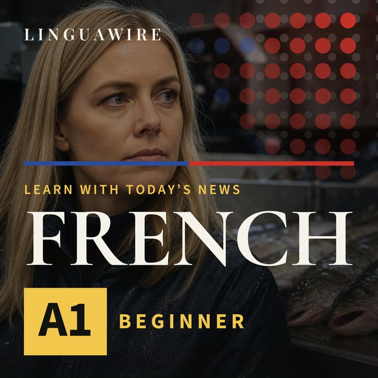 cover art for A1 French News | Can Iceland's EU Vote Be Decided by Fish?