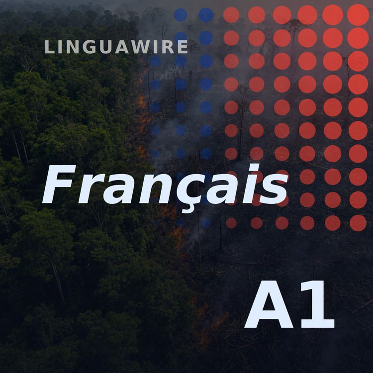 cover art for A1 French News | Brazil's Amazon Burns Far Less in 2025
