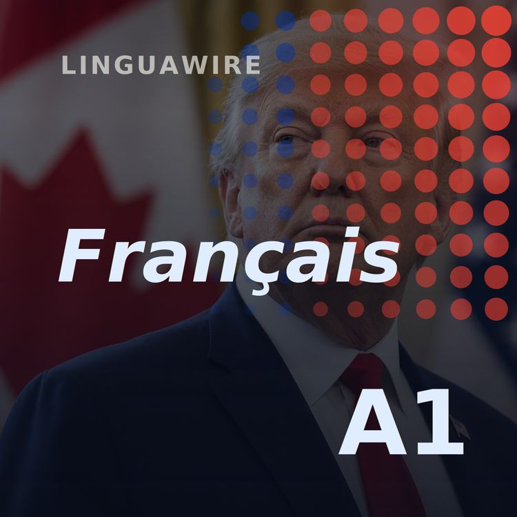 cover art for A1 French News | Canada's Dairy Sector Faces Trump's Tariff Fight