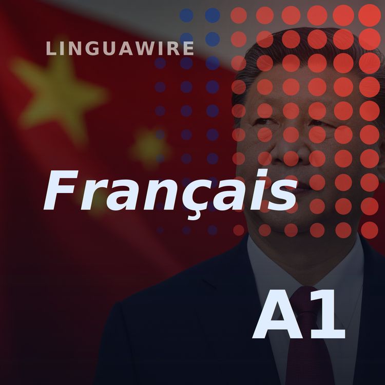 cover art for A1 French News | China's Growth Falls to 4.3%