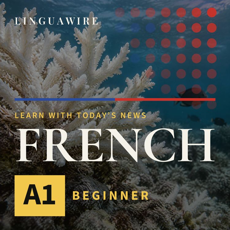 cover art for A1 French News | Coral Reefs Face a Major Threat by 2075