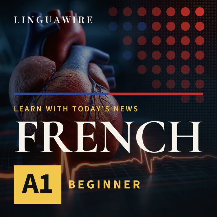cover art for A1 French News | Heart Disease Gets a Fast New AI Check