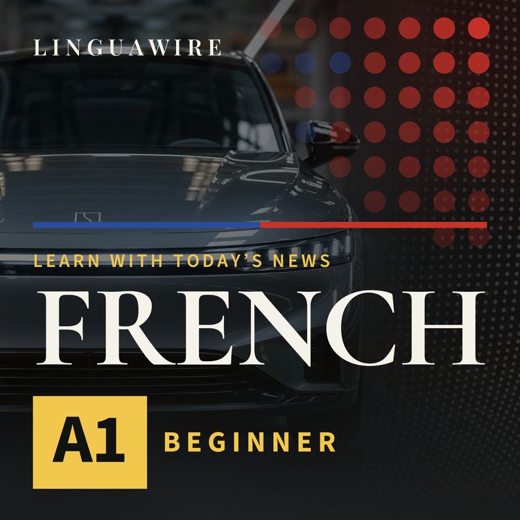 cover art for A1 French News | Can Zeekr Win North America's Car Market?