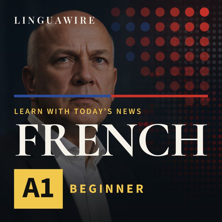 cover art for A1 French News | Berlin Refuses to Pay Hackers