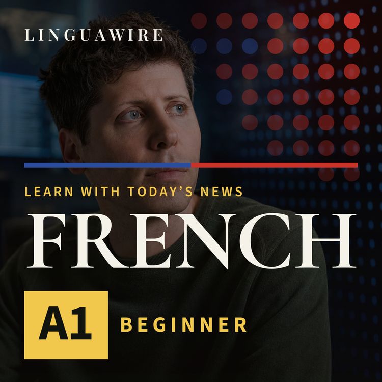cover art for A1 French News | Can OpenAI Help Ukraine Stop Cyber Attacks?