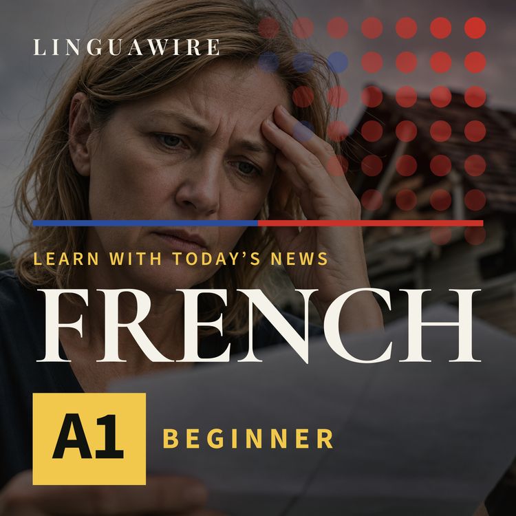 cover art for A1 French News | Are Homeowners Paying the Price for Cash Claims?