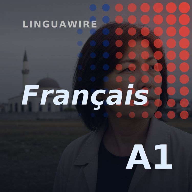 cover art for A1 French News | Why This Japanese Town Is Fighting a New Mosque