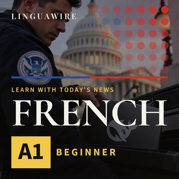 cover art for A1 French News | Why the US Is Banning DeepSeek from Government Systems