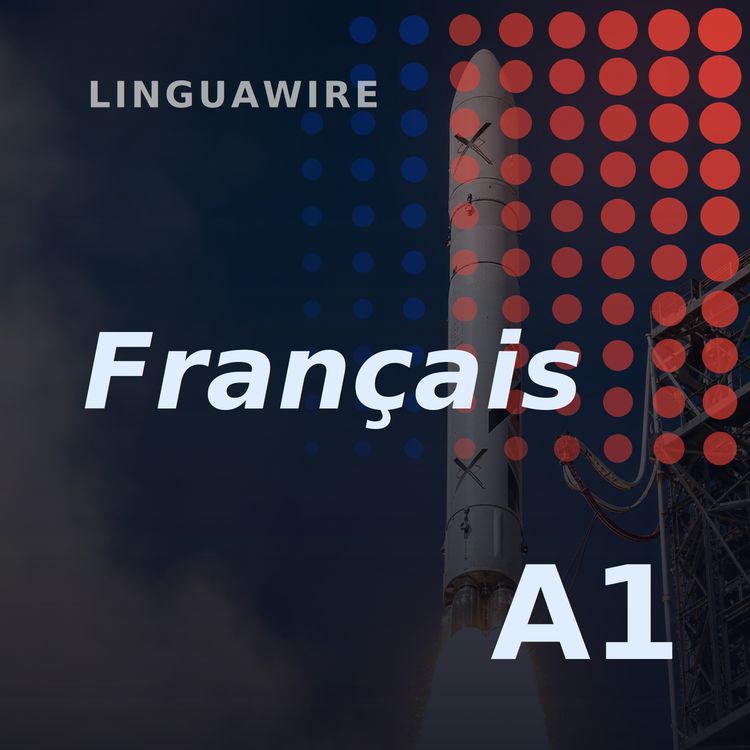 cover art for A1 French News | India's First Private Rocket Reaches Orbit