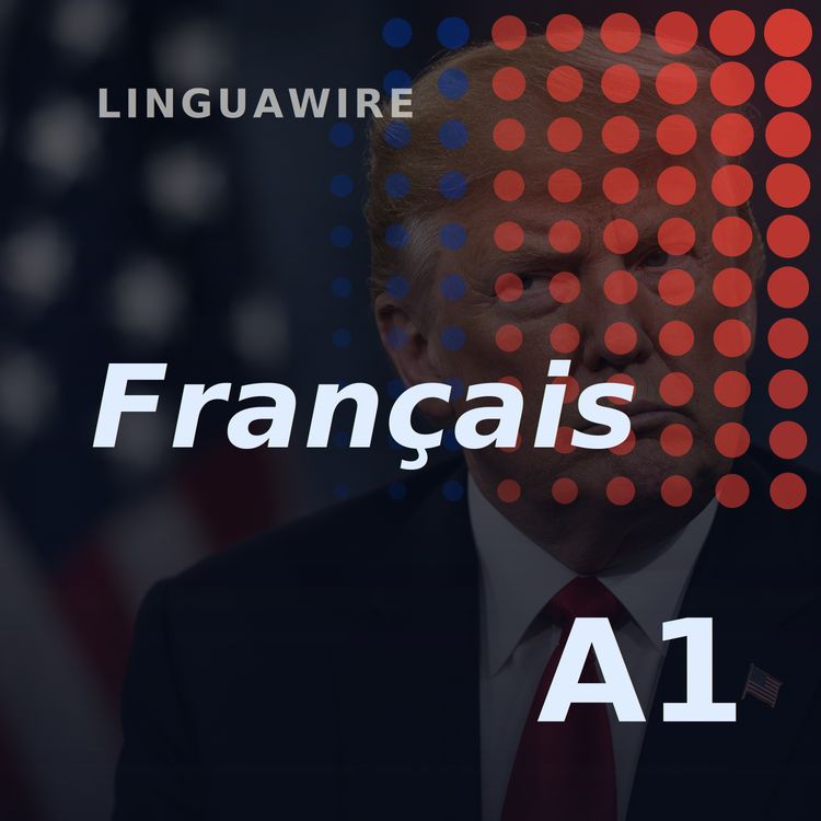 cover art for A1 French News | Trump Hits Canada with 50% Tariffs