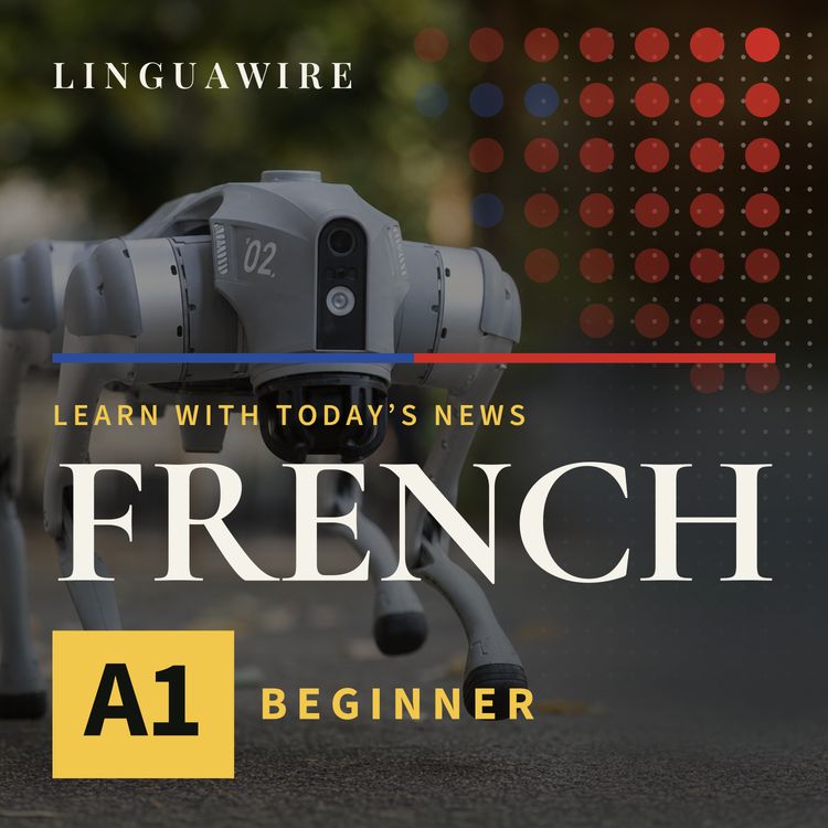 cover art for A1 French News | Why a $4,000 Robot Dog Turns Heads