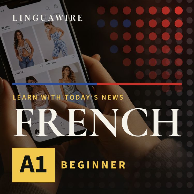 cover art for A1 French News | Will Shein Hit Almost $27bn in Hong Kong?