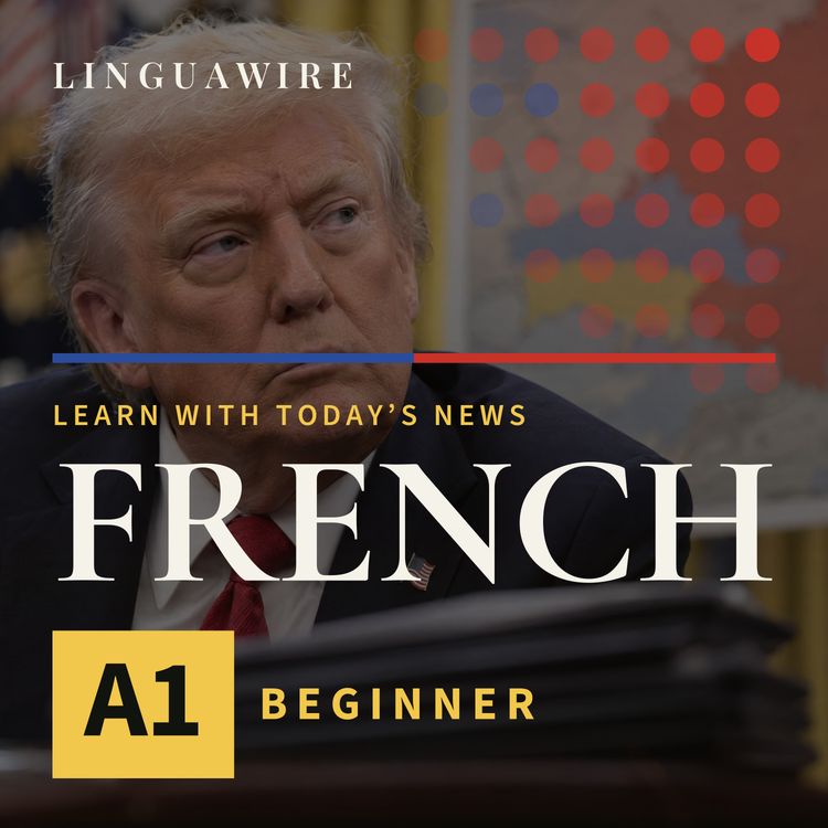 cover art for A1 French News | Why Did Trump Pause Sanctions on Russia?