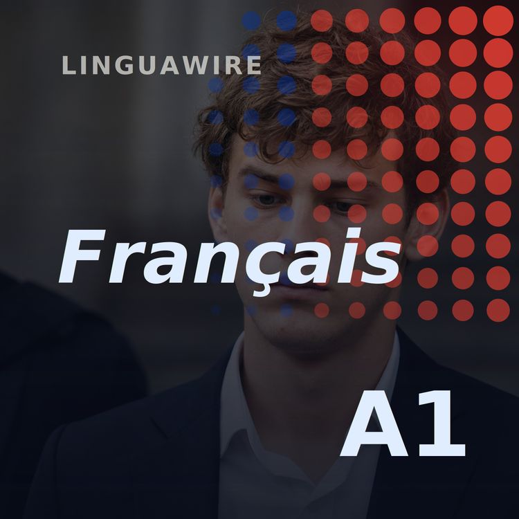 cover art for A1 French News | Singapore Fines French Teen for Viral Straw Stunt