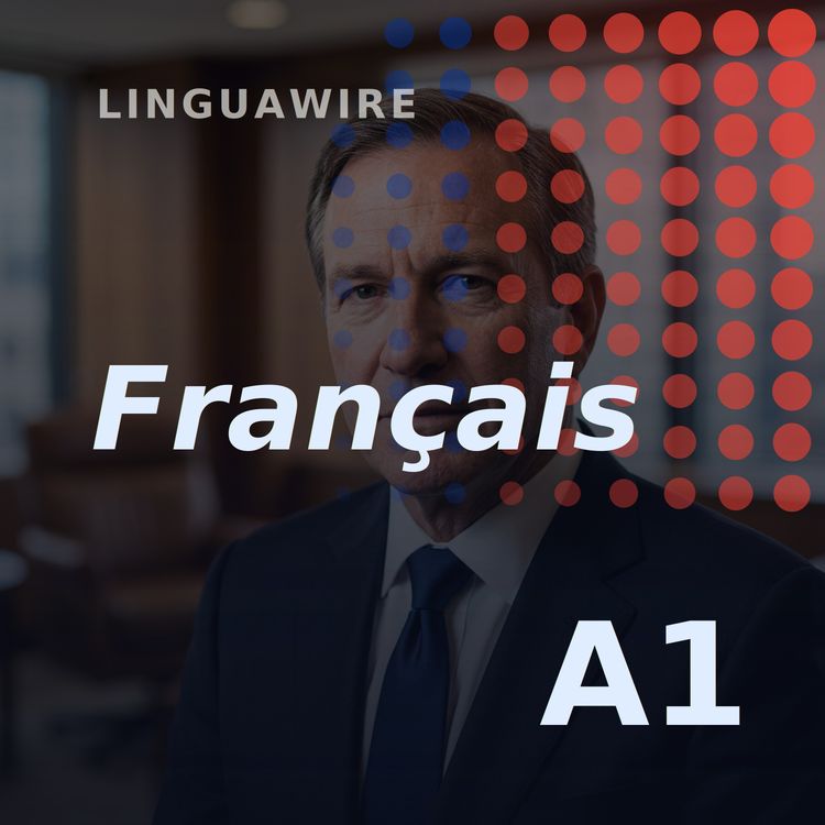 cover art for A1 French News | Why the US Unblocked Anthropic's AI Tools