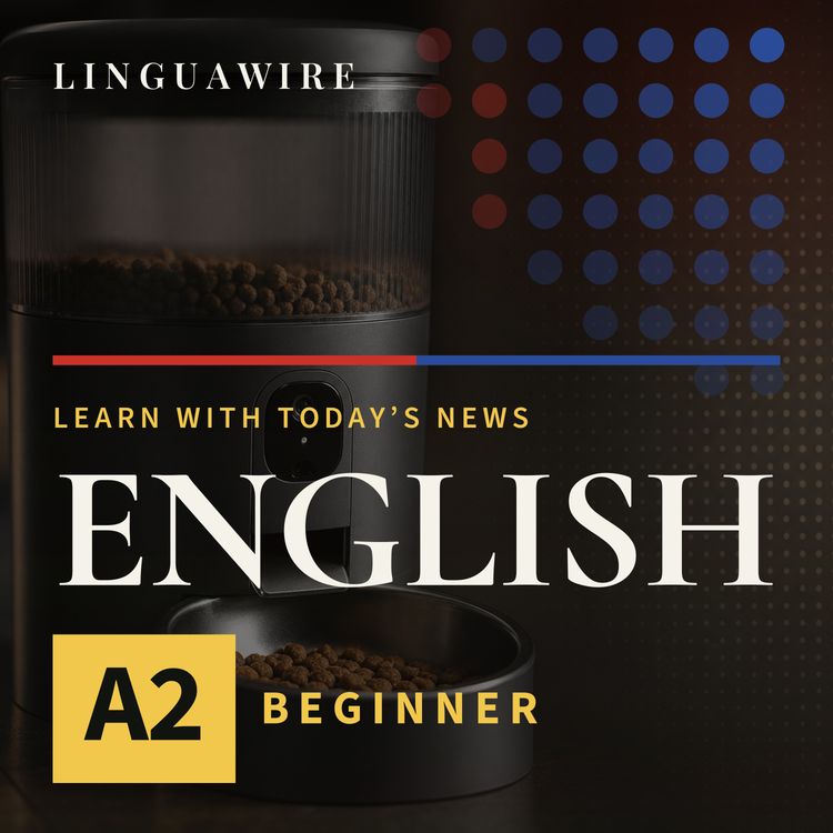 cover art for A2 English News | Can Petlibro Win Back Pet Owners After Outage?