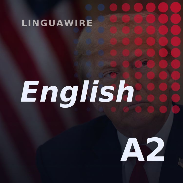 cover art for A2 English News | Trump's 50% Tariffs Put Canada on Alert